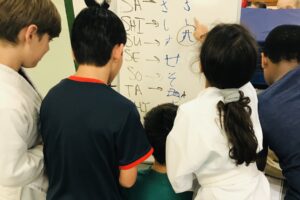 Mixed Age Learning Environment