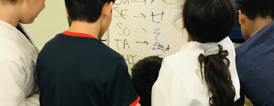 Mixed Age Learning Environment